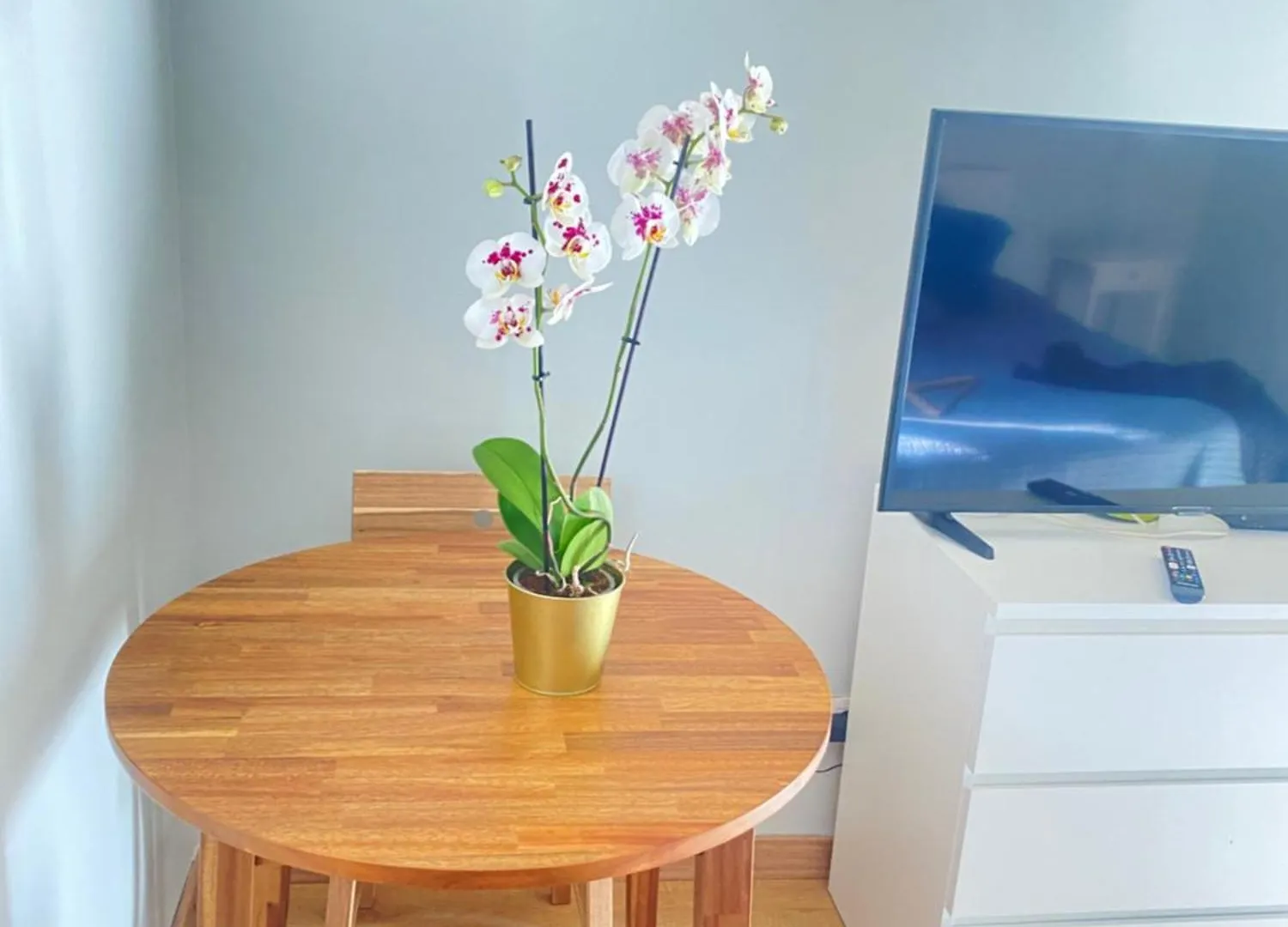 Chambre Chants D'Oiseaux Apartment Brussels